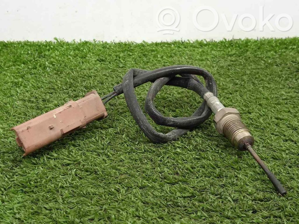 Sensor   9666230180