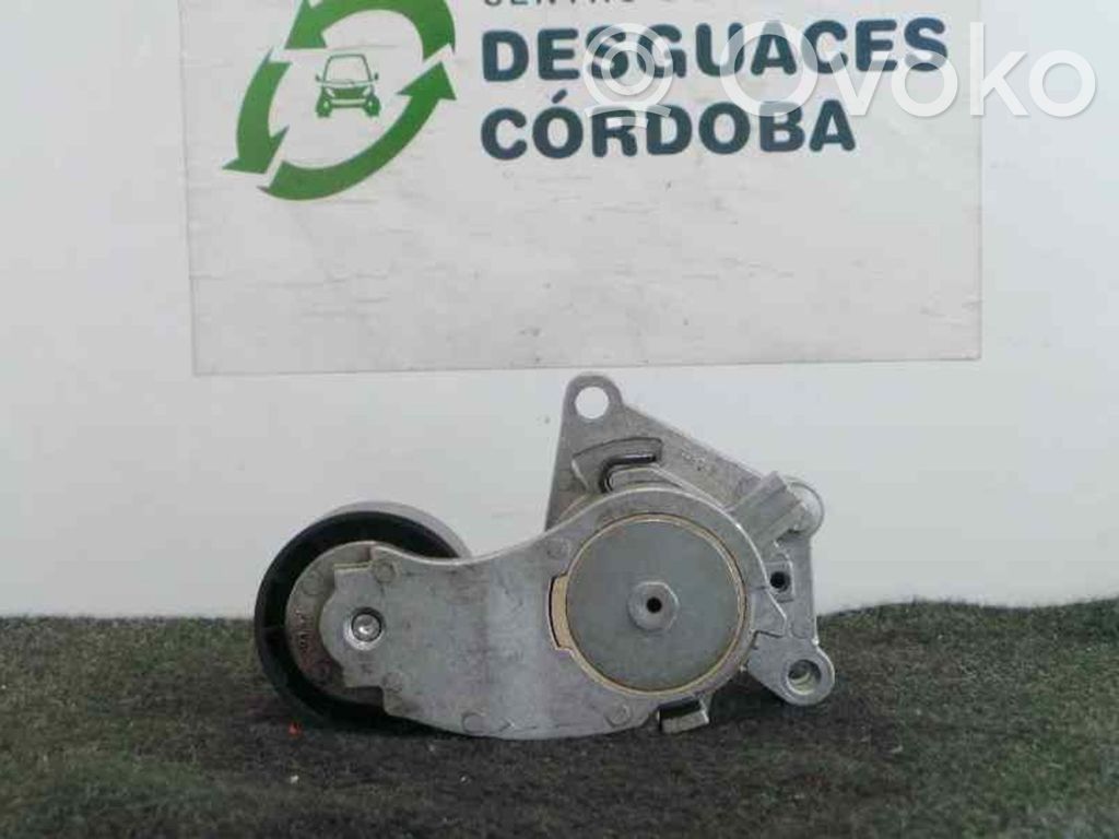 Tensor de correa del alternador