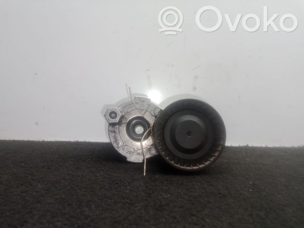 Tensor de correa del alternador   117506193R