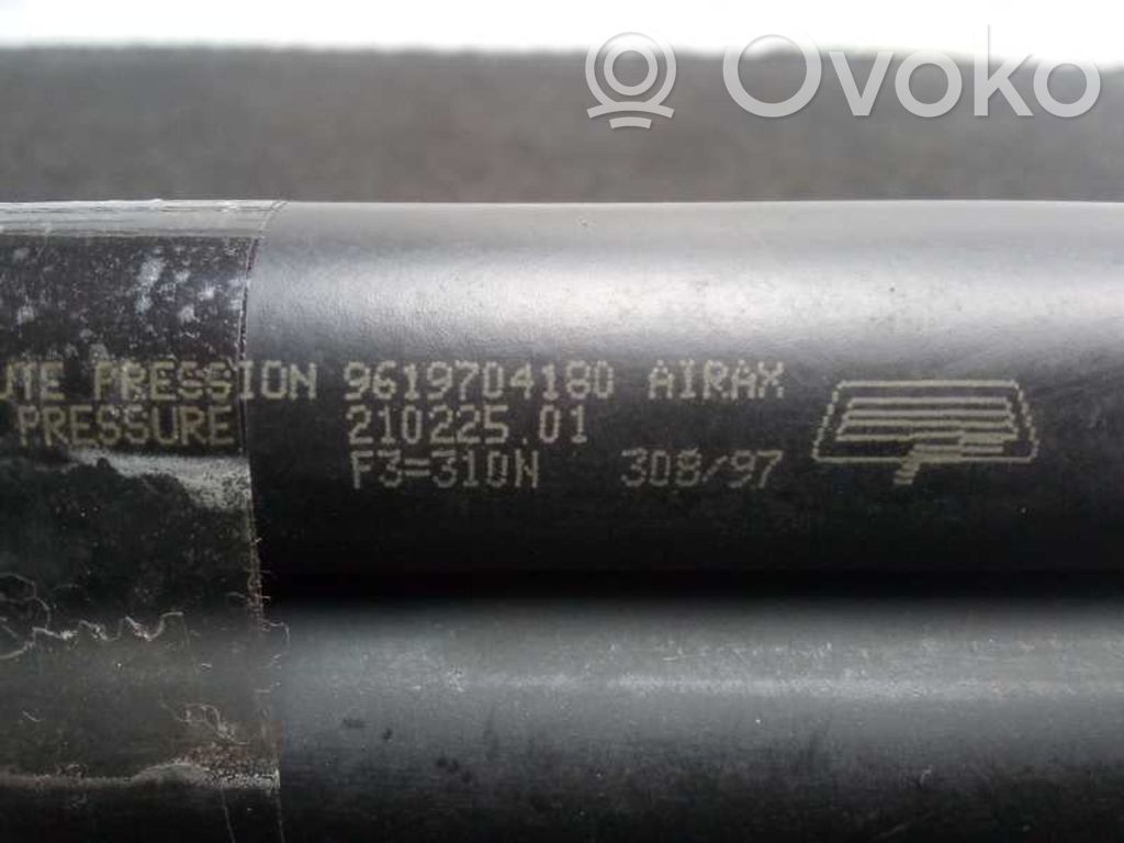Tailgate/trunk strut/damper   310N
