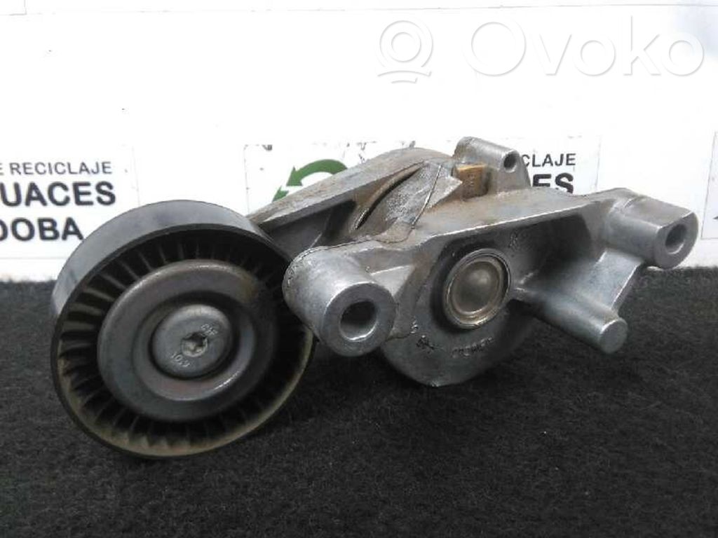 Seat Altea Tensor de correa del alternador 
