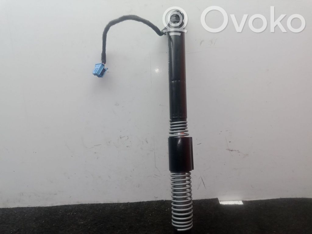 Tailgate/trunk strut/damper   BMWSERIE5G30