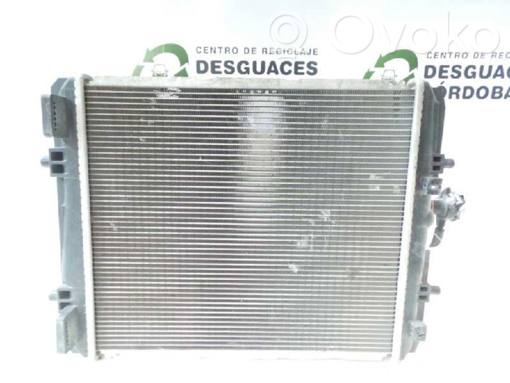 Wasserkühler   DENSO