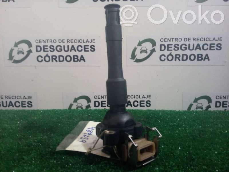 High voltage ignition coil   174801711860