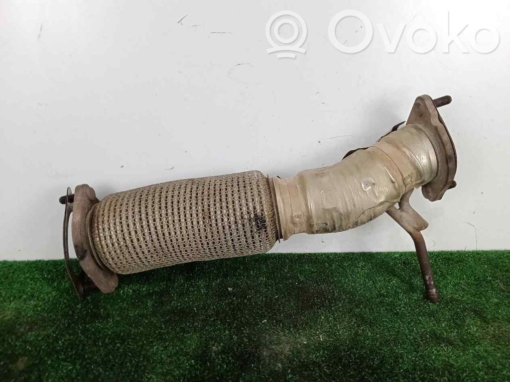 Schalldämpfer Auspuff   2433879X,FLECTORDEESCAPE