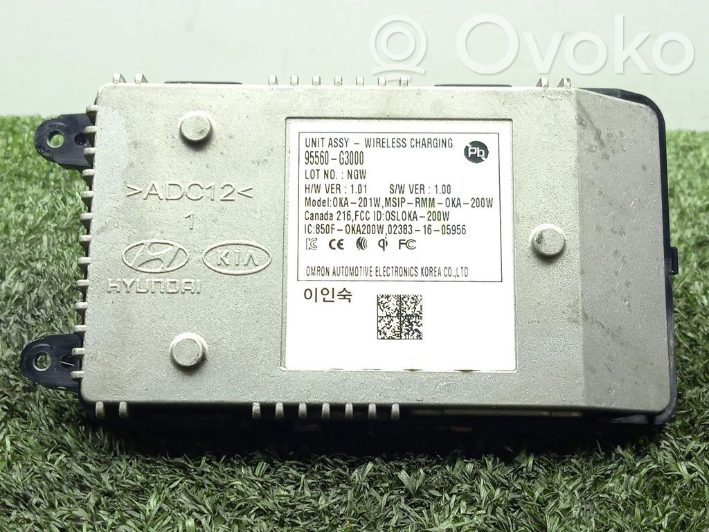 Muut ohjainlaitteet/moduulit   95560G3000