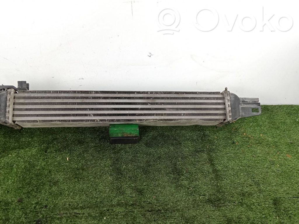 Radiatore intercooler   L8119001C860,BEHR,L540X82X64