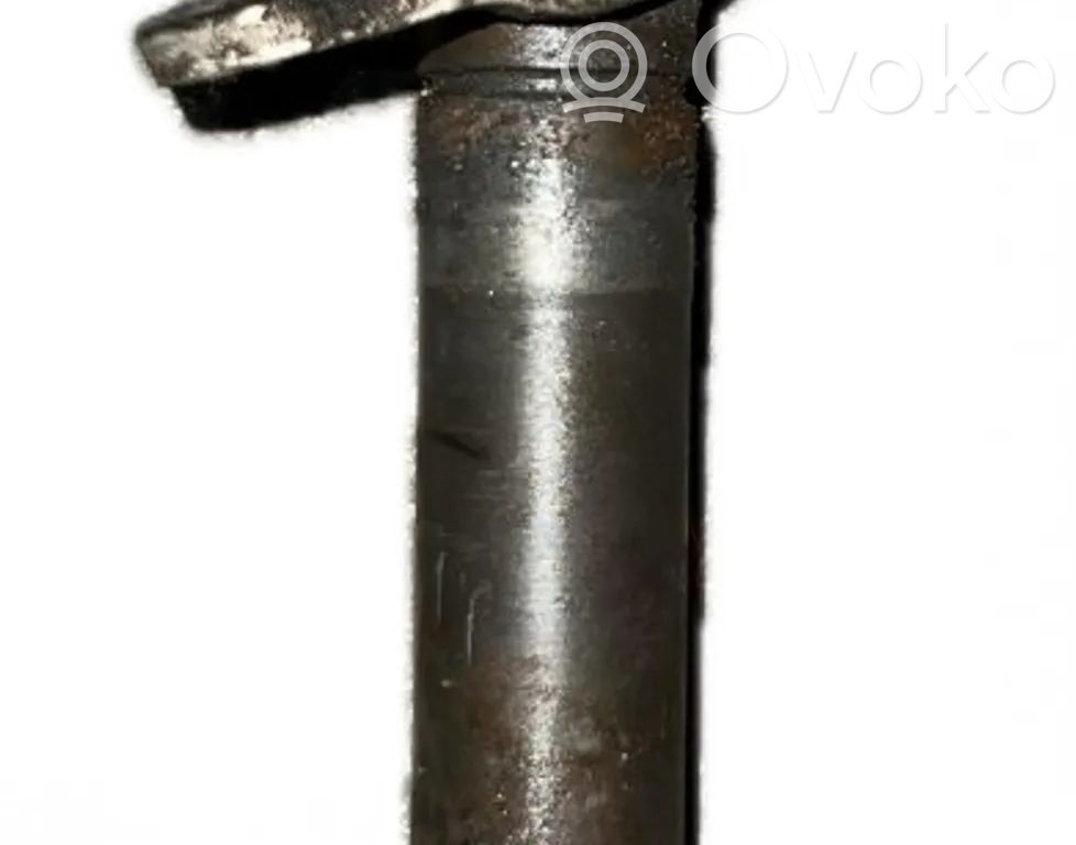 Fuel injector   0445110298