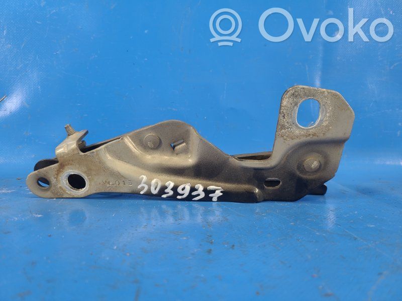 Dodge Caliber Engine bonnet/hood hinges 