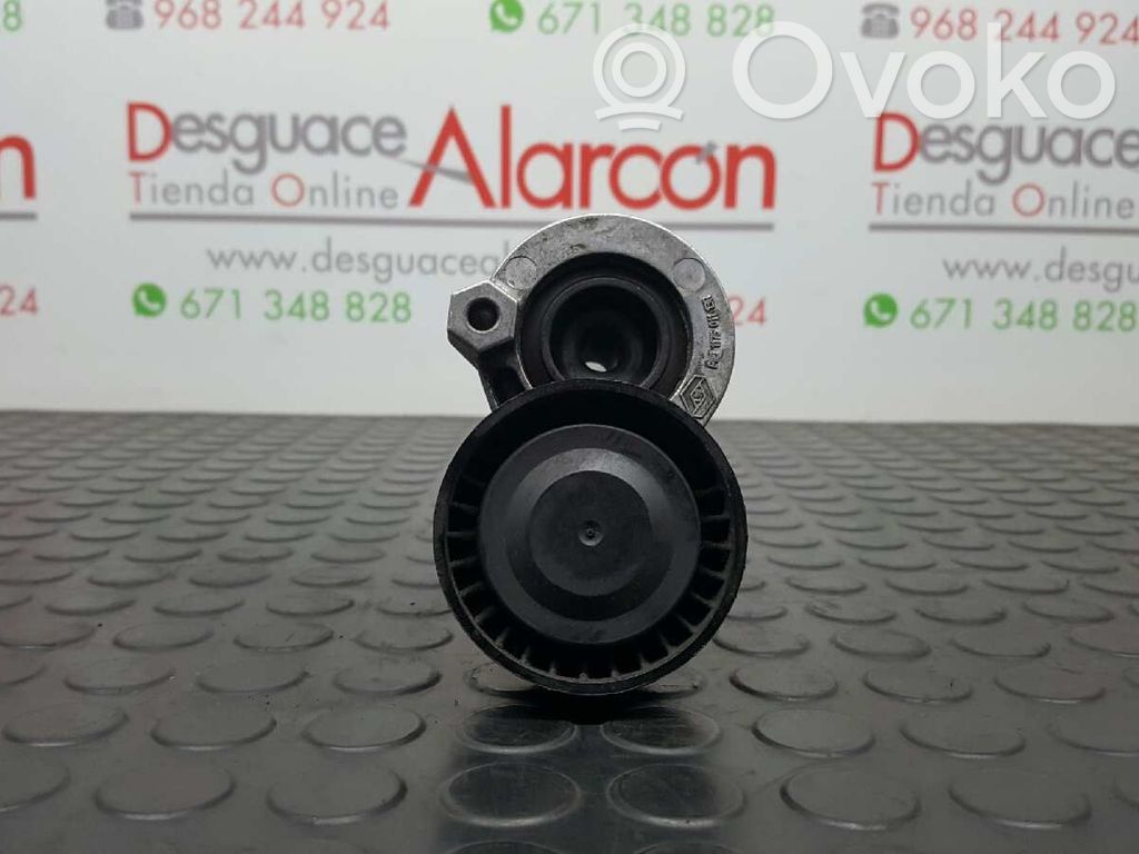 Întinzător curea generator/alternator   117501113R