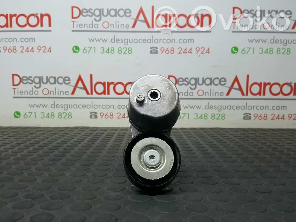 Napinacz paska alternatora   12656315,15301B2669