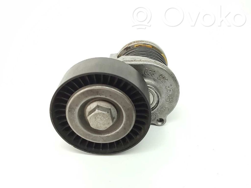 Seat Ibiza IV (6J,6P) Tendicinghia generatore/alternatore