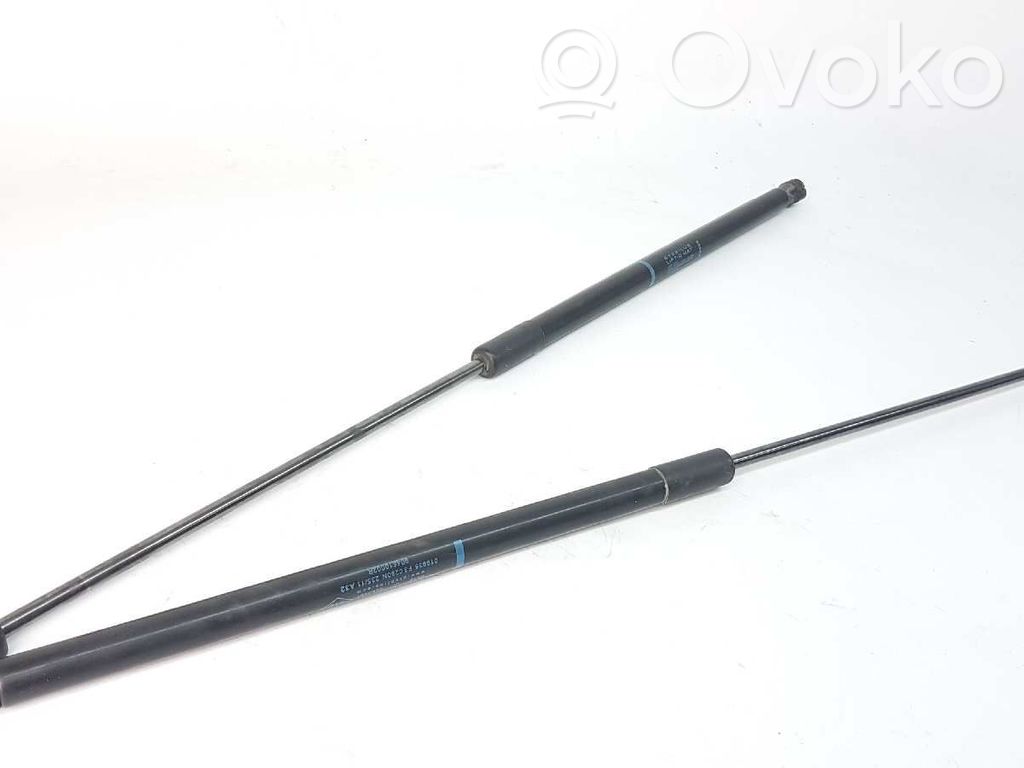 Renault Megane III Ammortizzatore portellone posteriore/bagagliaio 