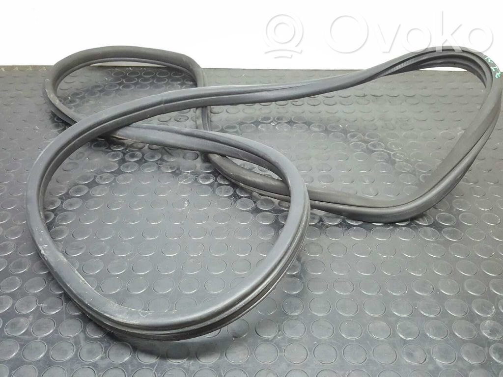 BMW X6 E71 Gumowa uszczelka drzwi przednich 