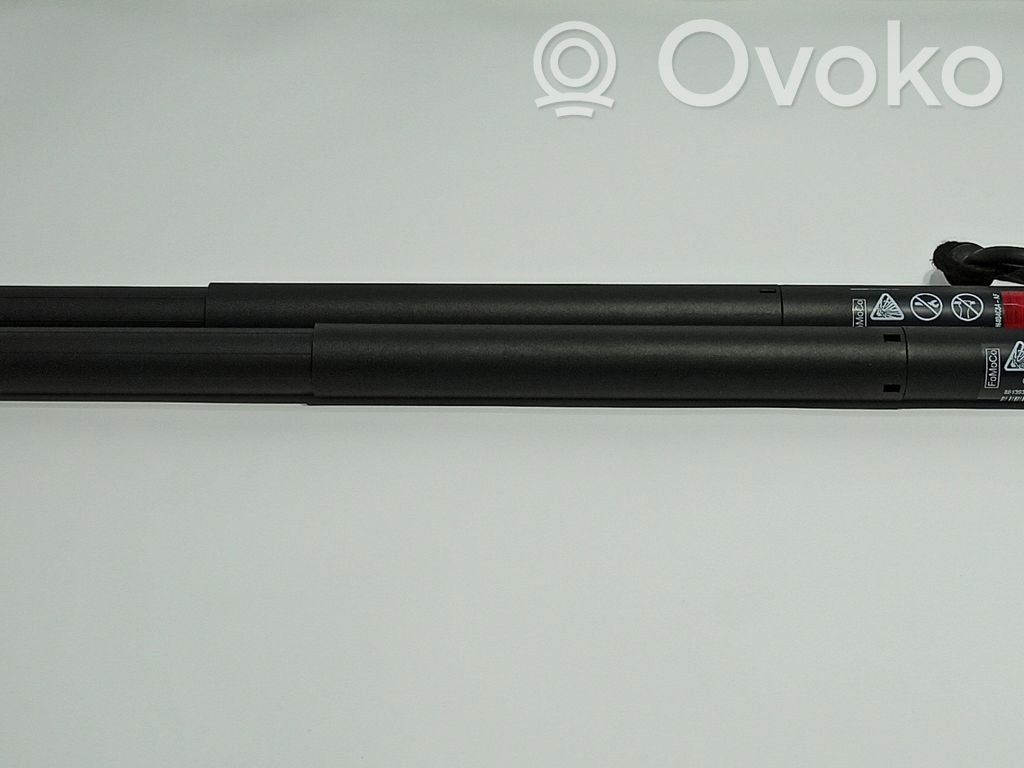 Ford Focus Tailgate/trunk strut/damper 