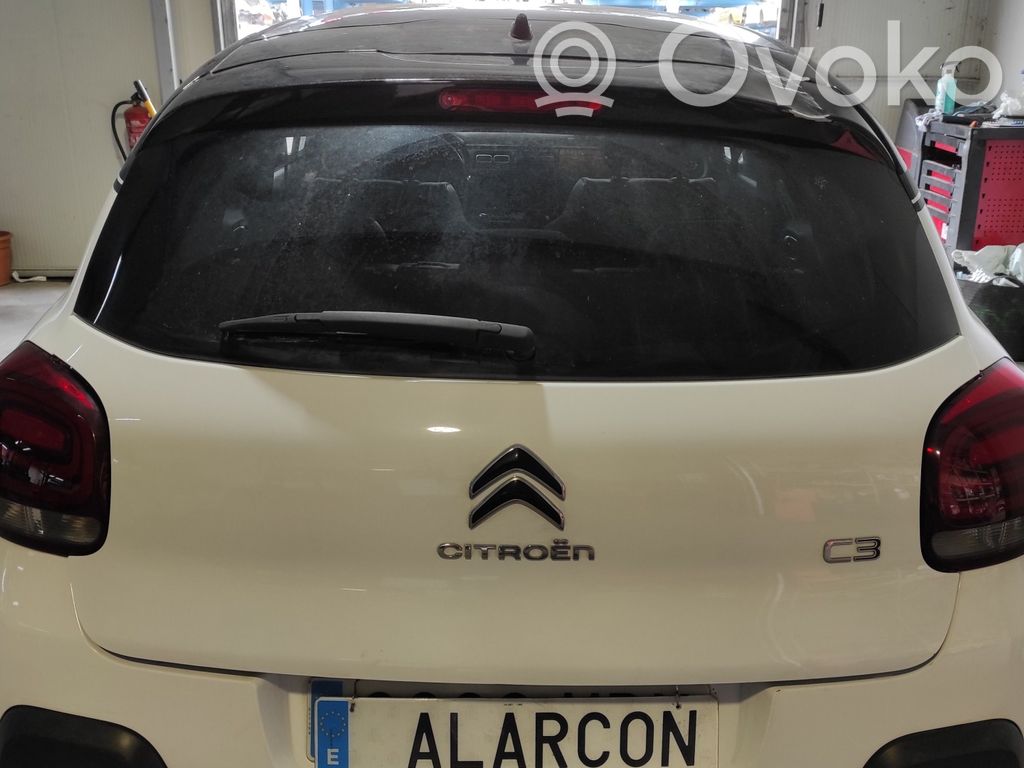 Citroen C3 Galinis dangtis (bagažinės) 
