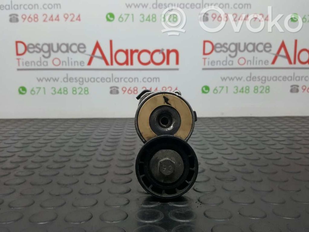Citroen C5 Generator/alternator belt tensioner 