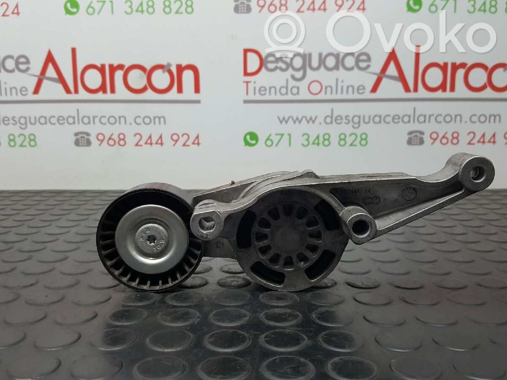 Volkswagen Eos Tendicinghia generatore/alternatore