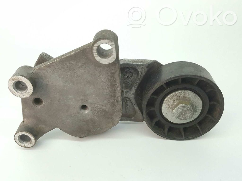 Peugeot 307 Diržo įtempėjas 