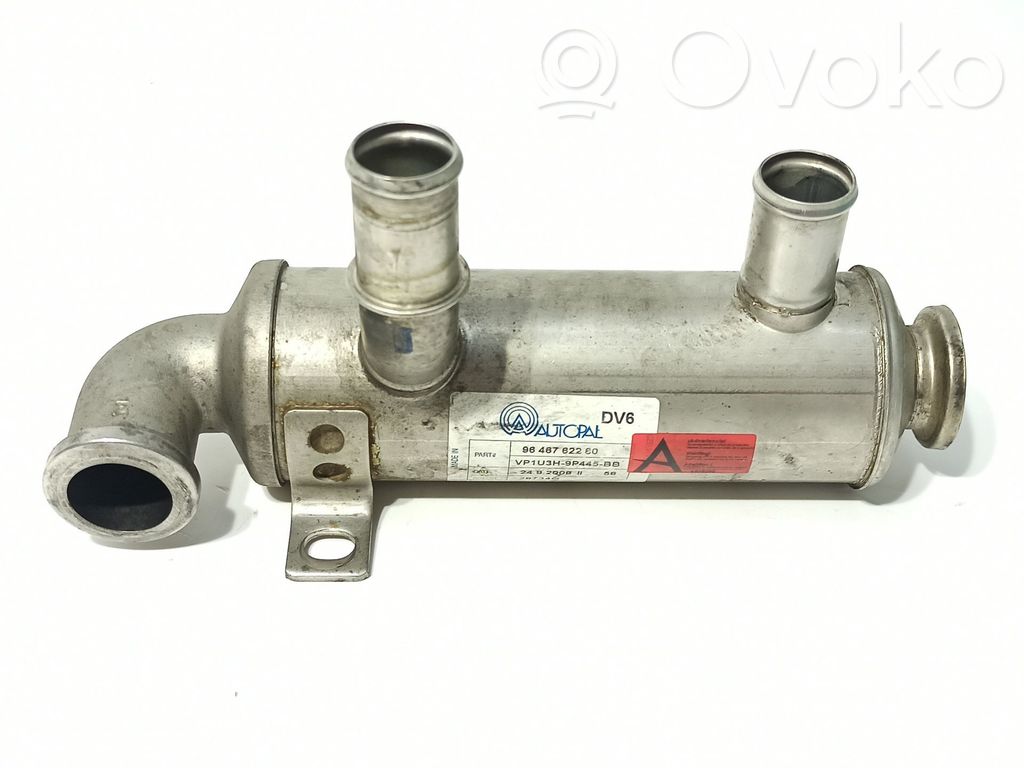 Peugeot 308 Răcitor supapă EGR 