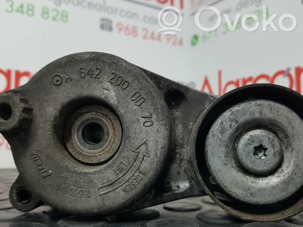 Mercedes-Benz E W211 Napinacz paska alternatora 