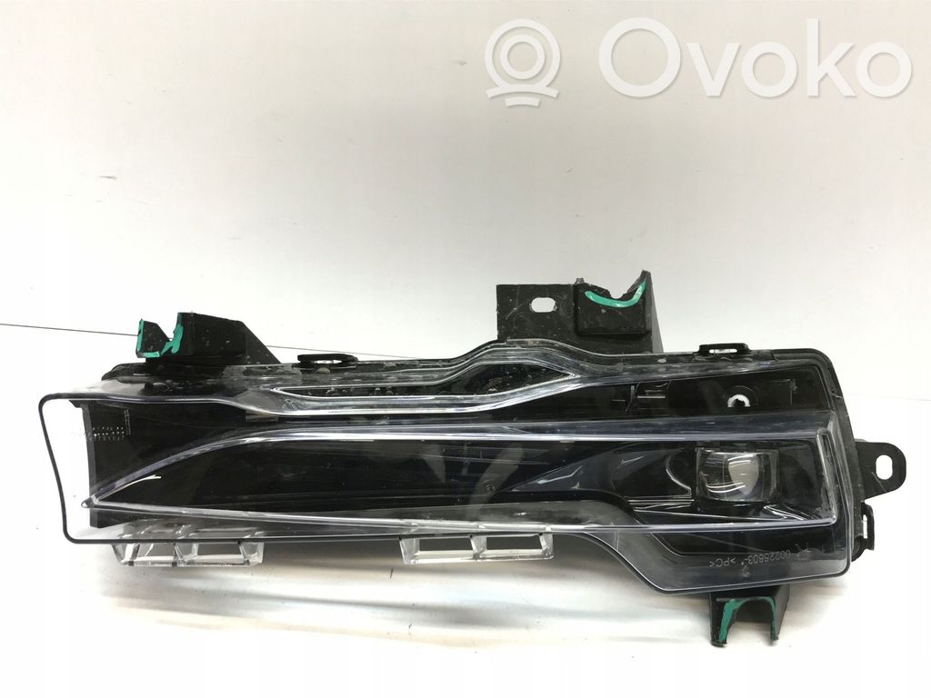 Front fog light   1507933