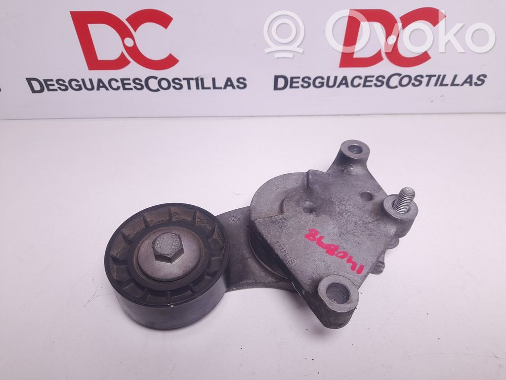 Ford Focus Diržo įtempėjas 