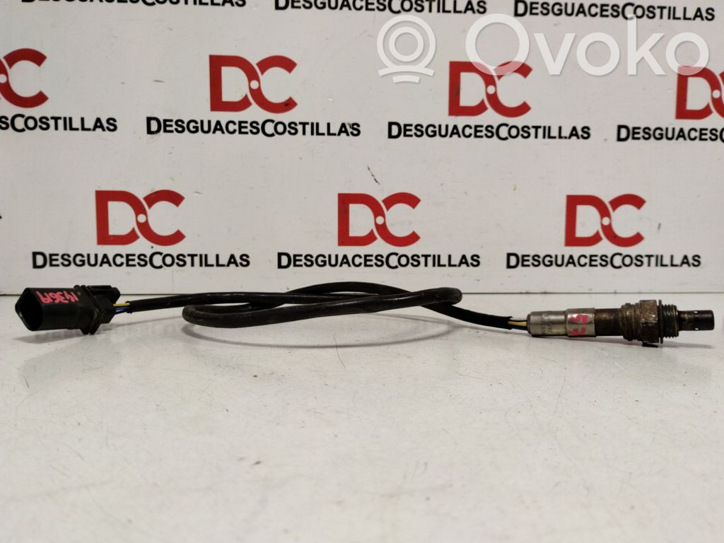 Sonda lambda   55562290