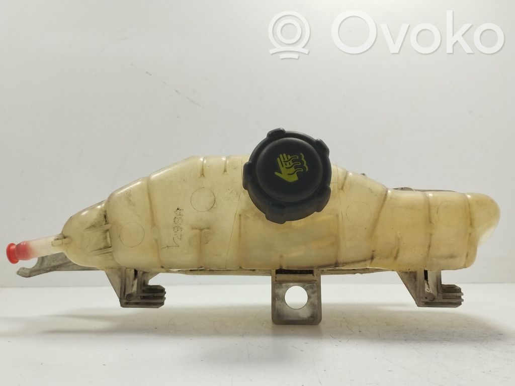 Renault Clio III Kuro išsiplėtimo bakelis 