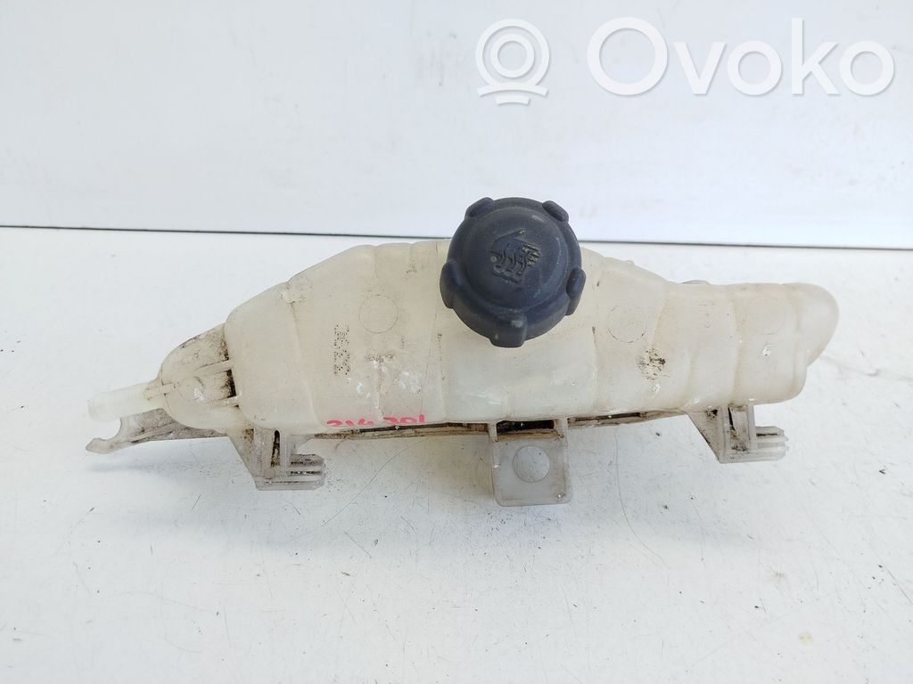 Renault Clio III Kuro išsiplėtimo bakelis 