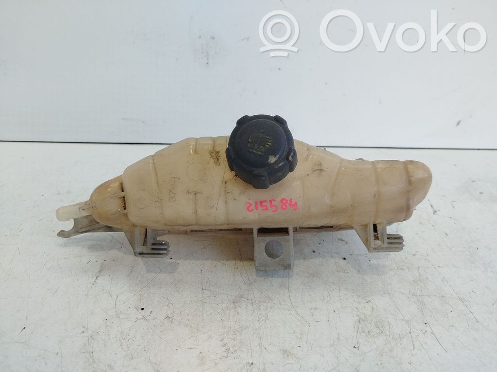 Renault Clio III Kuro išsiplėtimo bakelis 
