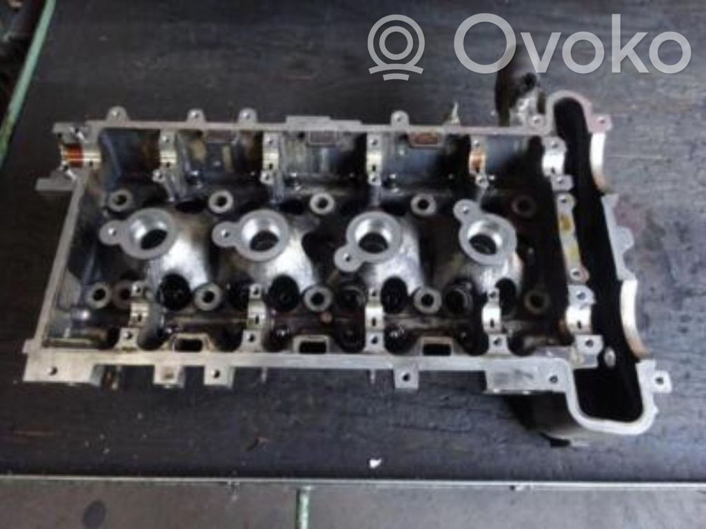 Engine head   55561003