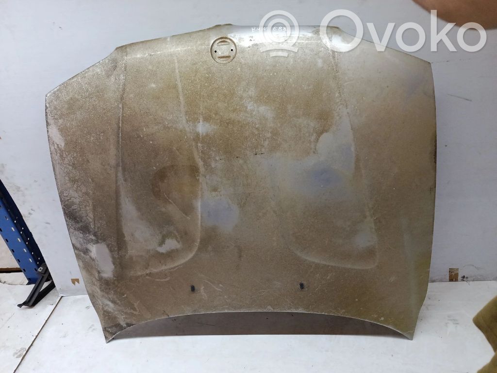 Engine bonnet/hood