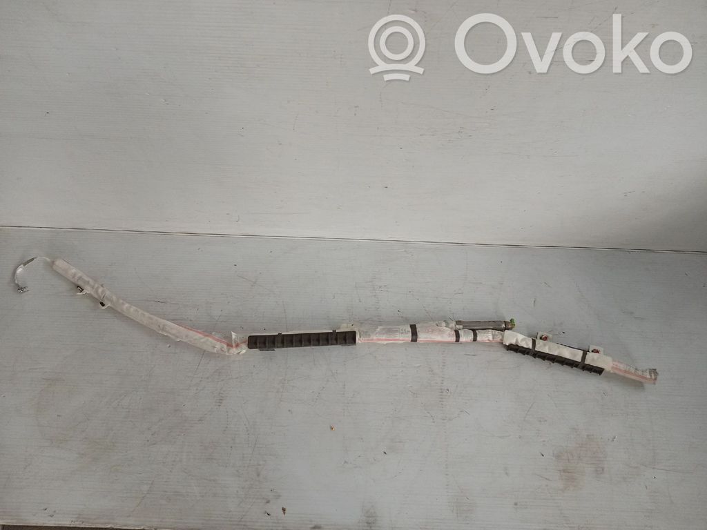 Airbag del techo   85020G4000