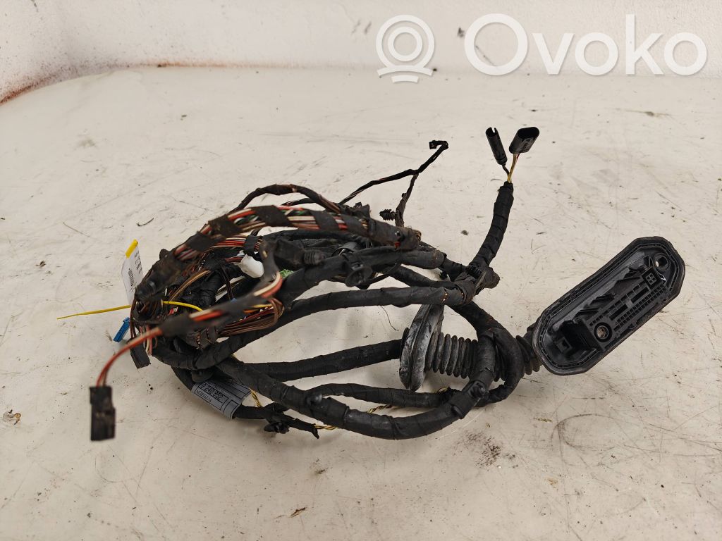 BMW 5 F10 F11 Cableado de puerta delantera 