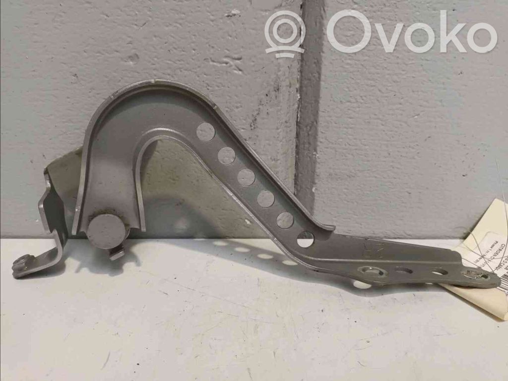 Citroen C1 Engine bonnet/hood hinges 
