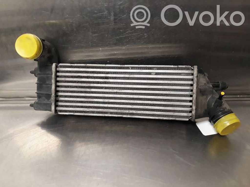 Citroen C8 Interkūlerio radiatorius 