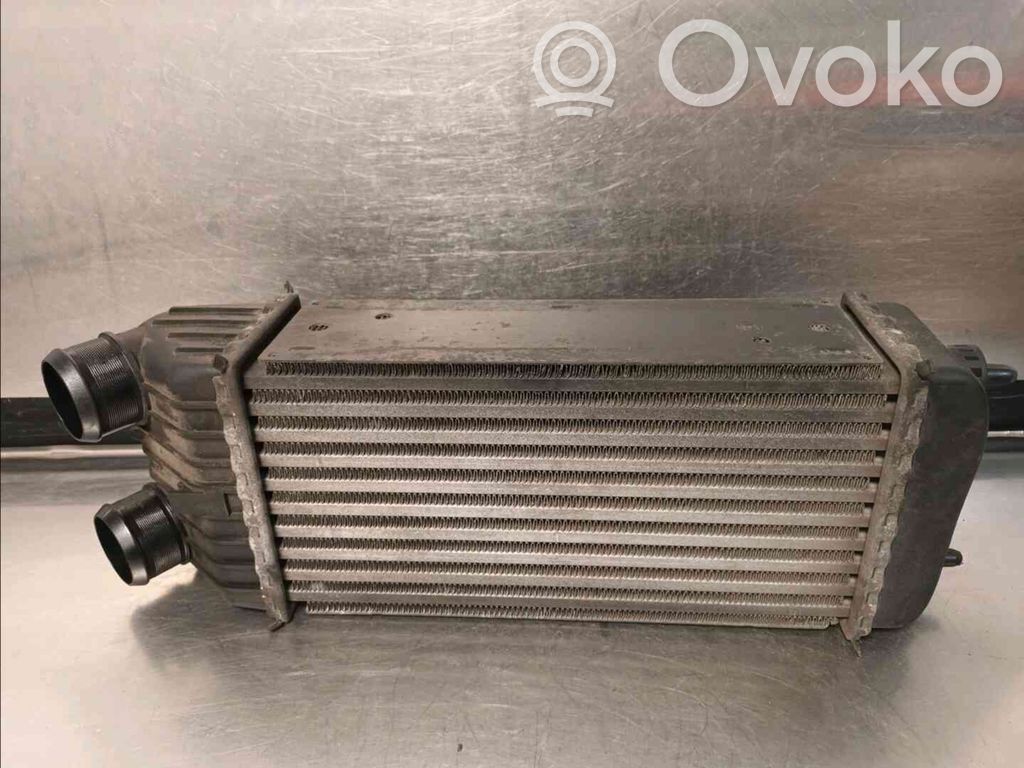 Peugeot 207 Intercooler radiator 