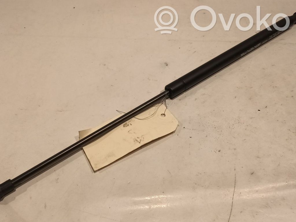 Renault Laguna II Tailgate strut 