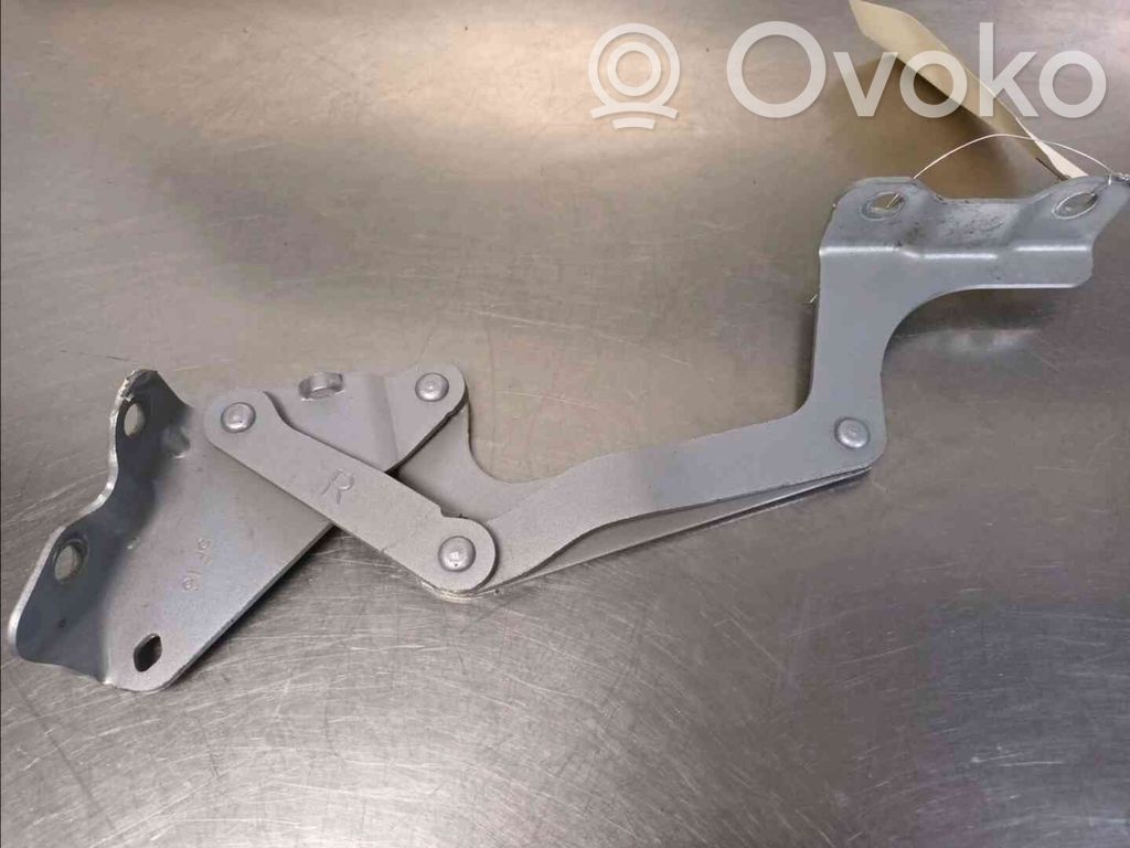 Peugeot iOn Engine bonnet/hood hinges 