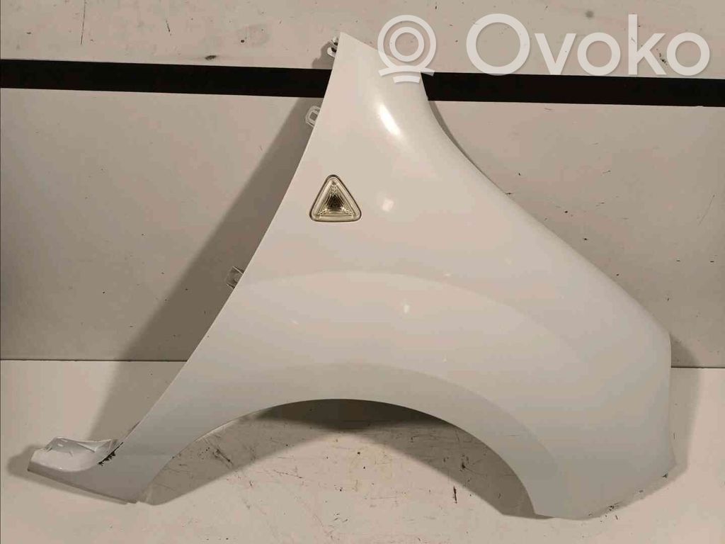 Renault Kangoo II Fender 