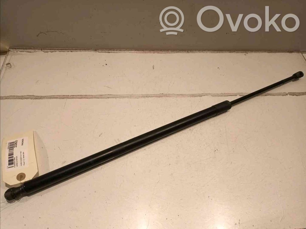 Ford Kuga II Tailgate strut 