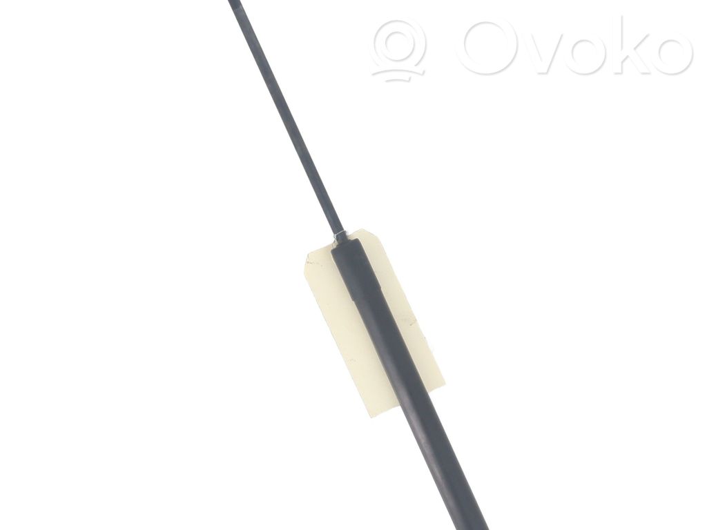 Citroen C3 Tailgate/trunk strut/damper 