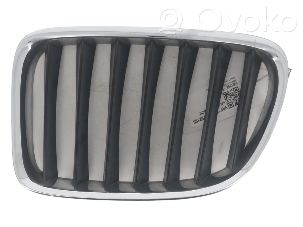BMW X1 E84 Front grill 