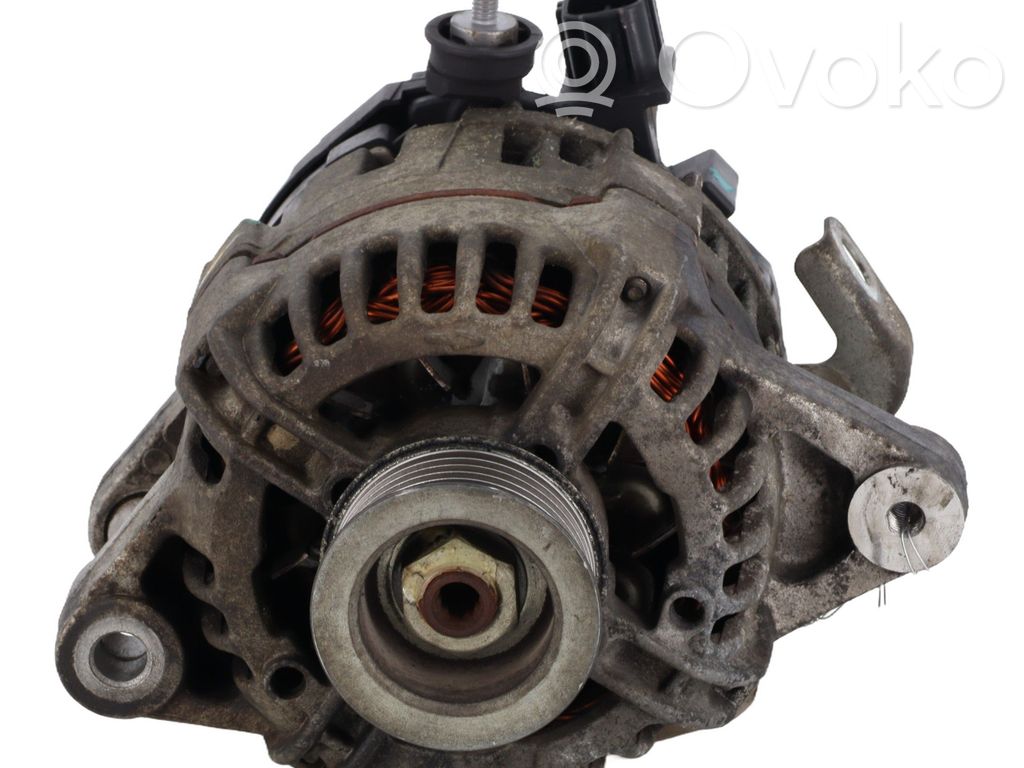 Alternator   270600J051