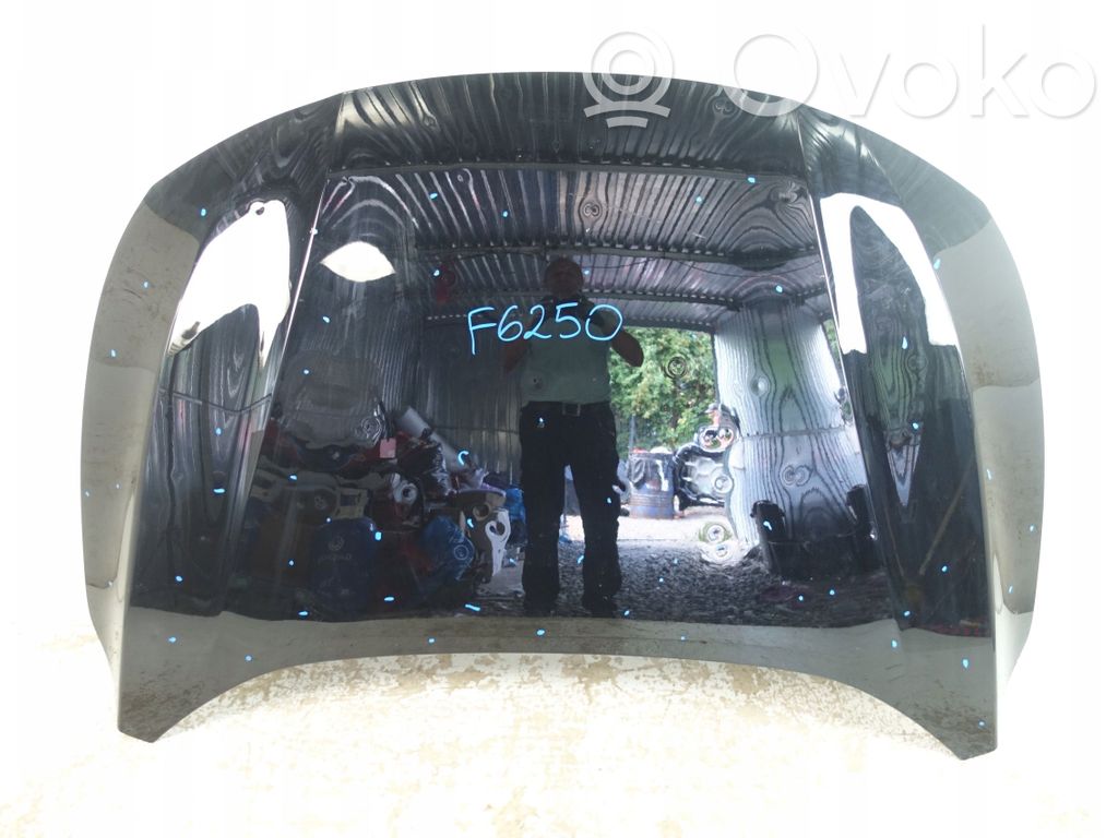 Ford Focus Motorhaube 