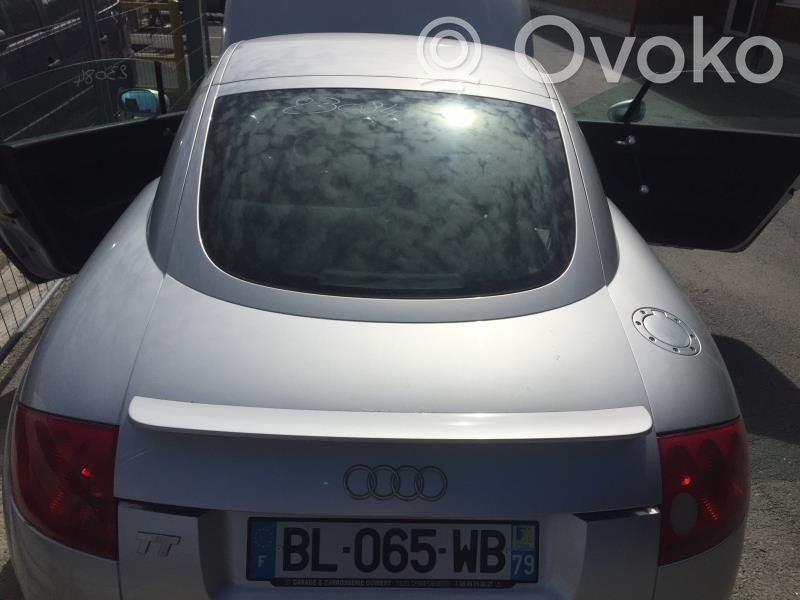 Audi TT Mk1 Puerta del maletero/compartimento de carga 