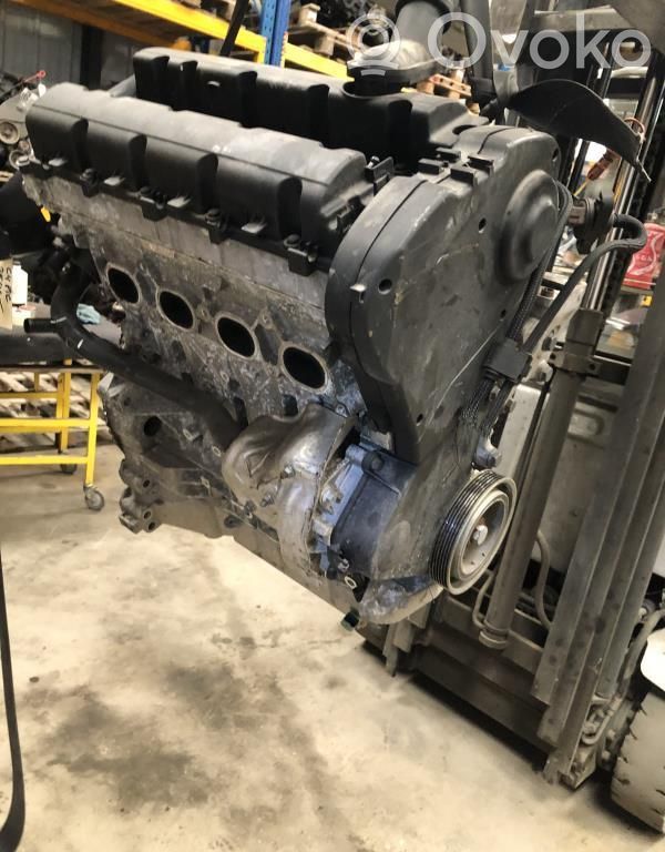 Motor