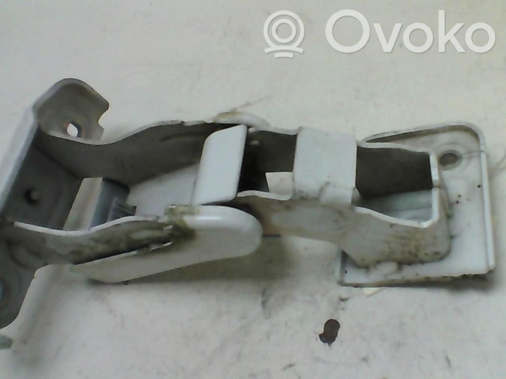 Tailgate/trunk/boot hinge
