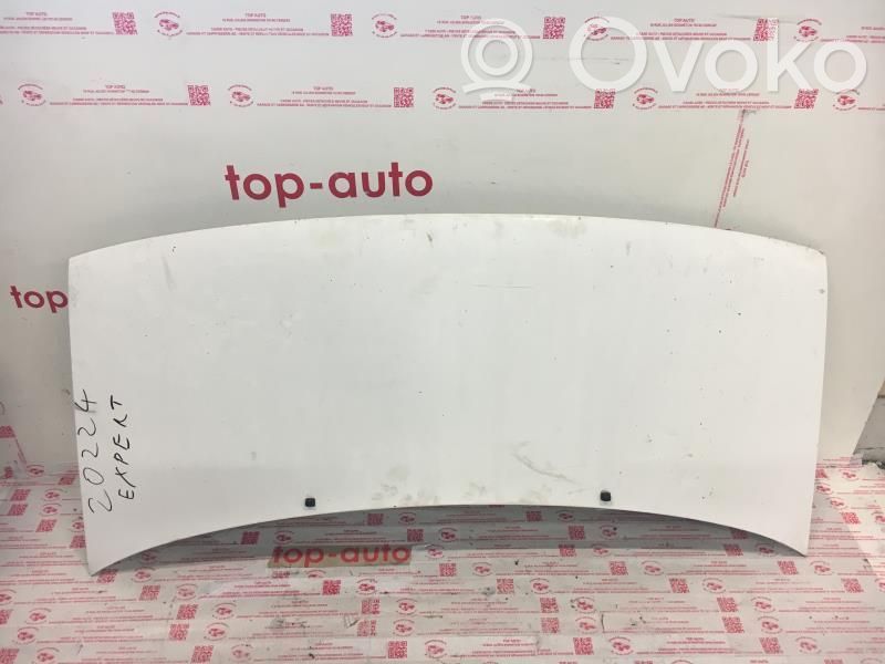 Peugeot Expert Engine bonnet/hood 